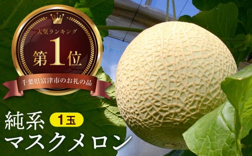 【最高級】純系マスクメロン１玉（化粧箱入）【６～７月発送分】 1264529 - 千葉県富津市