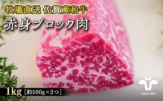 定期便3回】【牧場直送】佐賀産黒毛和牛 赤身ブロック肉500g：B027-004