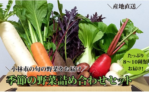 【自然が育む新鮮野菜】こばやし季節の野菜詰め合わせセット 545987 - 宮崎県小林市