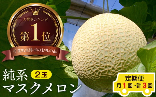 【定期便３ヶ月】純系マスクメロン２玉【最高級】：１～３月発送分 1266294 - 千葉県富津市