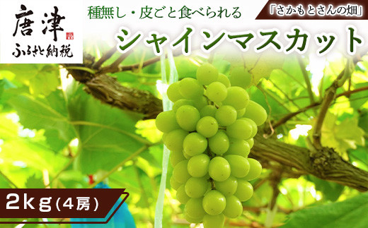 『予約受付』【令和5年9月上旬発送】シャインマスカット2kg 4房 葡萄 ぶどう 果物 フルーツ スイーツ