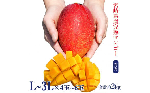 宮崎県産 完熟マンゴー 2kg | www.hitplast.com