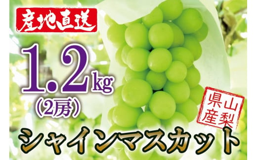 葡萄生産量日本一、山梨の心と技術の集大成をおとどけします。