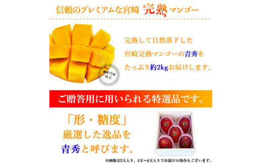 宮崎県産 完熟マンゴー 2kg - フルーツ