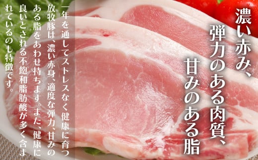 北海道厚真町のふるさと納税 厚真希望農場で育った放牧豚の無添加ソーセージ11種類ボリュームセット
