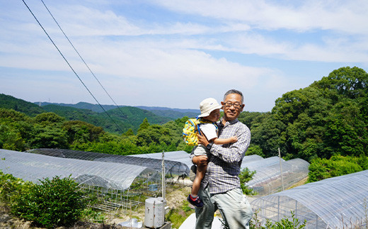 唐津市で苺の生産に向き合い30年以上、試行錯誤し濃厚で甘い苺が出来ました。皆様にお召し上がりいただけると嬉しいです。