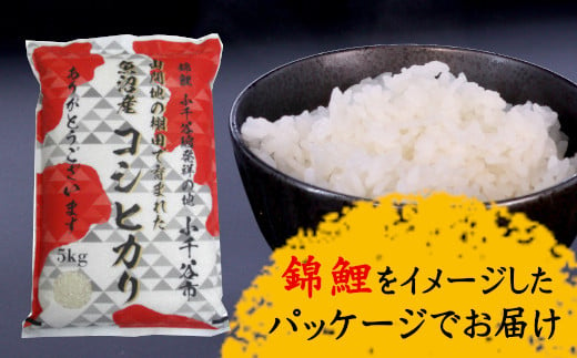 r05-13-9 特別栽培棚田米 魚沼コシヒカリ  5kg【錦鯉デザインパッケージ】 棚田米  白米