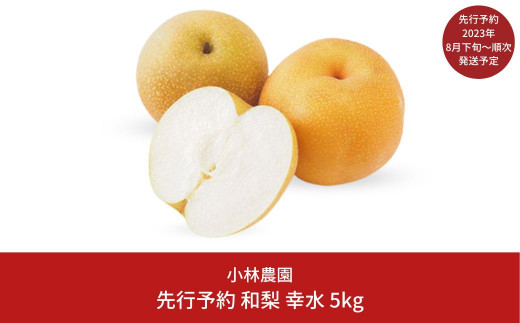 先行予約 和梨 幸水 5kg [2023年発送予定] 新潟県 三条市産 梨 [小林農園]【012P044】