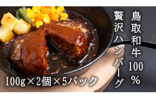 U1-5 鳥取和牛100％贅沢ハンバーグ（100g×2個×5パック） 765975 - 鳥取県智頭町