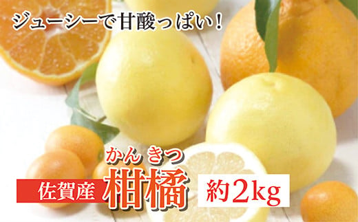 佐賀産柑橘（かんきつ）　約２ｋｇ　※写真はイメージです