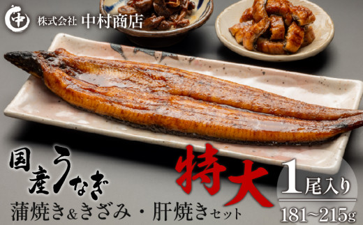 国産うなぎ 蒲焼き 特大サイズ(181～215g)・きざみ・肝焼きセット_M069-014_01