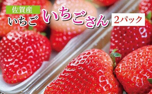 【12月から順次発送】佐賀産 いちご『いちごさん』2パック ※写真はイメージです