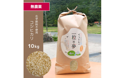 山口県美祢市のふるさと納税 無農薬・化学肥料不使用 コシヒカリ(玄米) 10kg