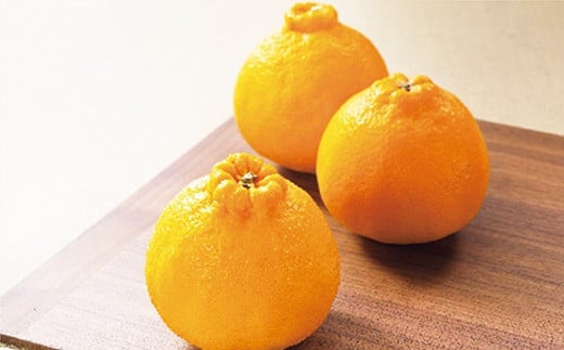 佐賀産柑橘（かんきつ）『デコポン』約２.５ｋｇ箱　※写真はイメージです