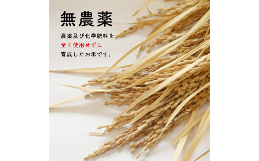 山口県美祢市のふるさと納税 無農薬・化学肥料不使用 コシヒカリ(玄米) 5kg