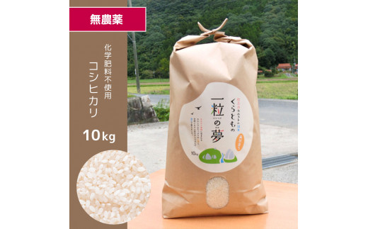 無農薬・化学肥料不使用 コシヒカリ 10kg