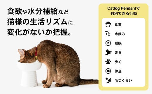 catlog 基本セット - 猫用品