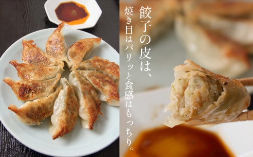 冷凍生餃子 5種類 64個 （餃子のタレ付）食べ比べセット！ 【生餃子専門店】/ 餃子 ギョーザセット 惣菜 おかず