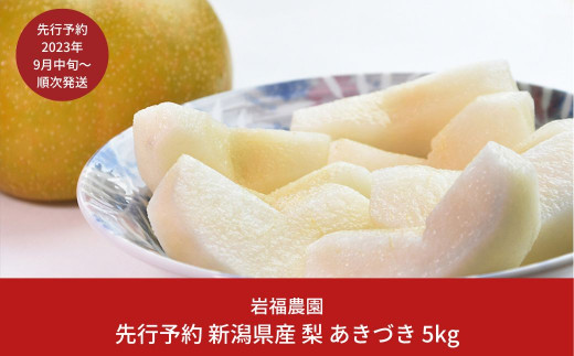 先行予約  和梨 あきづき 5kg [2023年発送予定] 新潟県産 梨  [岩福農園]【010P061】