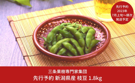 先行予約 枝豆 1.8kg [2023年発送予定]  新潟県 三条市産 枝豆 [三条果樹専門家集団]【010P050】