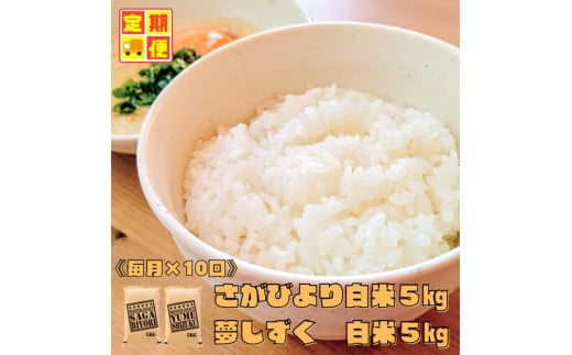 CI368_【白米食べ比べ！】さがびより５㎏夢しずく５㎏【１０回定期便】