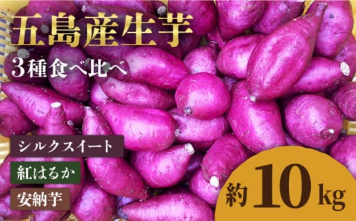 【2025年1月先行予約】五島産生芋10kg 安納芋 シルクスイート 紅はるか いも 五島市/芋蔵林 [PDO008]