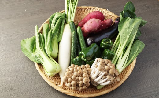[8種類]熊本県産 肥後の国 野菜の詰め合わせ セット