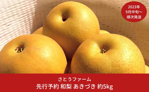 先行予約 和梨 あきづき 5kg [2023年発送予定] 新潟県産 梨 【014S011】