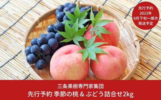 先行予約 季節の桃&ぶどう詰合せ2kg [2023年発送予定] 桃（日の出 あかつき なつっこ 川中島白桃 あきぞら 白根白桃 黄金桃） ぶどう（巨峰 シャインマスカット ロザリオビアンコ セキレイ） 贈答用 ギフト 新潟県 三条市産 [三条果樹専門家集団]【016P042】