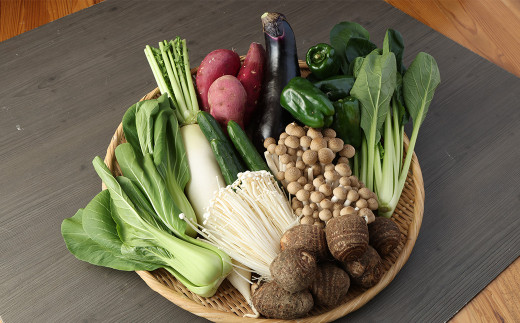 【10種類】熊本県産 肥後の国 野菜の詰め合わせ セット