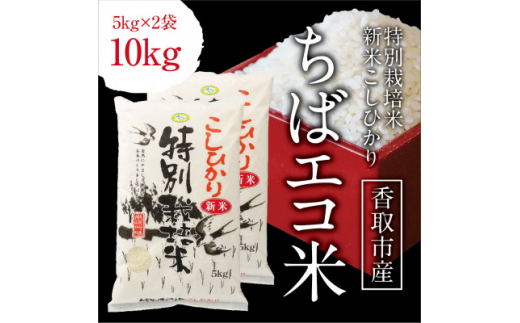 千葉県産 ちばエコ米コシヒカリ5kg×2袋【1360939】 - 千葉県香取市