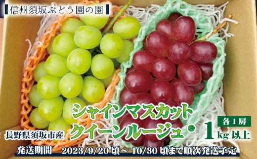 [No.5657-3468]長野県須坂市産シャインマスカット＆クイーンルージュ®計2房  1kg以上《信州須坂ぶどう園の園》■2023年発送■※9月下旬頃～10月下旬頃まで順次発送予定|信州須坂ぶどう園の園