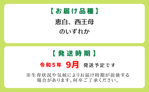 9月配送】白桃 超大玉5玉（2kg）（岡山県総社もも生産組合）23-060-009