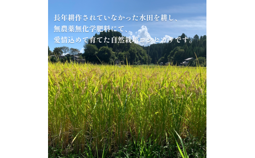 （５分づき）令和5年産 富山県産 自然栽培米 コシヒカリ５kg 富山県 氷見市 自然栽培 こしひかり 5分付き