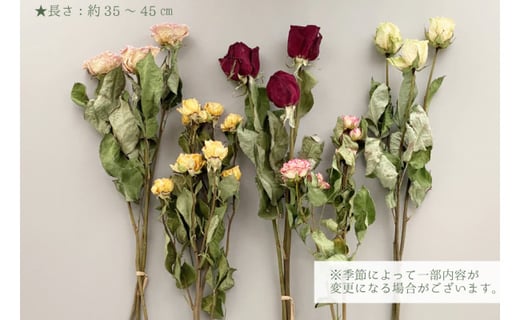 摘みたてお花」のドライフラワー キット バラ 5種 ドライフラワー