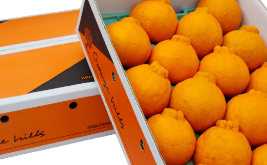 【2023年2月上旬発送開始】水俣の甘酸っぱいをお届け! 柑橘定期便