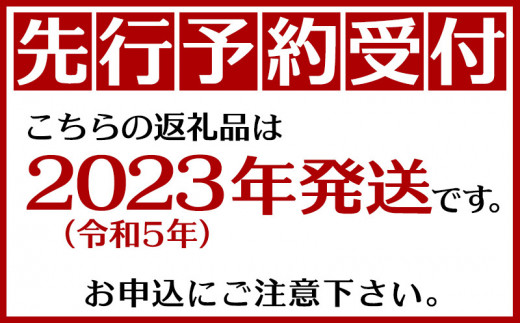 アイテムID:427251の画像7枚目