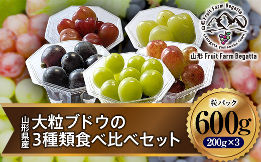 先行予約》2023年 山形県山辺町産 大粒ブドウの3種類食べ比べセット