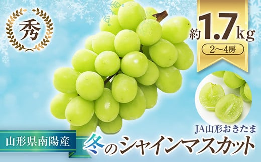 【令和5年産先行予約】 JA 冬のシャインマスカット 2房～4房 (秀品) 《令和5年12月中旬～下旬》 山形県 南陽市 821