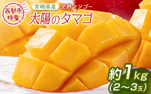 今が旬！最高級ブランド『太陽のタマゴ』3Lサイズ2個または、2Lサイズ3個【糖度15度以上】宮崎県西都市産完熟マンゴー＜3-48＞