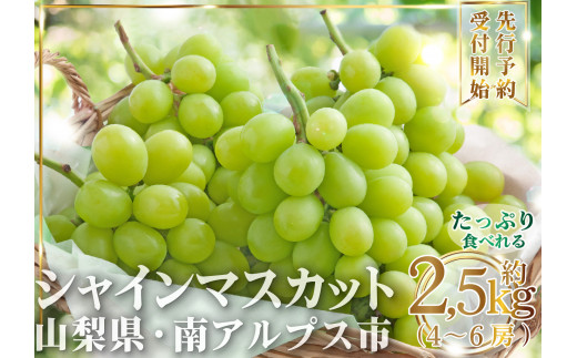 2.5-1-23【令和5年8月下旬から10月上旬発送予定】山梨県南アルプス市産 シャインマスカット約2.5kg（4から6房）|こまふる