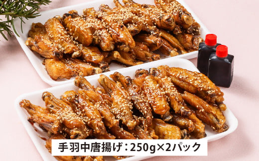 すり身 天ぷら (5個) と 手羽中 唐揚げ (250g×2パック) 詰合せ セット 甘辛タレ スパイス 冷凍