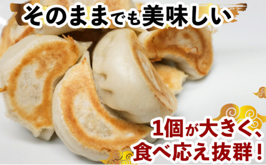 《餃子のかわしも》かわしも焼き餃子お徳用45個入りパッケージ