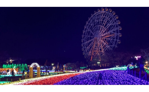 東武動物公園 入園券 アトラクションパス ペア 02 埼玉県白岡市 ふるさとチョイス ふるさと納税サイト