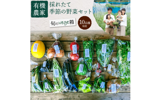 有機農家の採れたて季節野菜のセット【旬のvege箱】 325517 - 埼玉県伊奈町