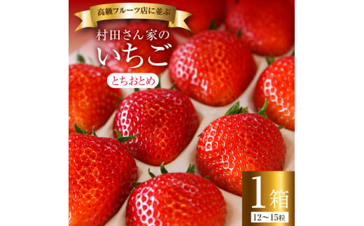 村田さん家のいちご【とちおとめ】1箱／12～15粒《1月発送》 350802 - 茨城県鉾田市