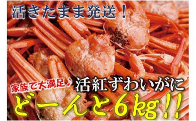 活紅ずわいがに どーんと6kg!!(合計6kg前後)