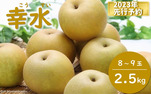 JA28-23A 【先行予約】梨 幸水 約2.5kg／2023年8月中旬～9月上旬ごろ配送