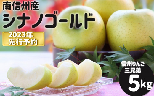 JA14-23A 【先行予約】りんご シナノゴールド 約5kg ／2023年10月下旬～11月上旬ごろ配送
