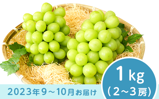 J0498シャインマスカット1kg【2023年9月以降出荷分】